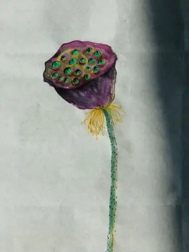 水墨画 紫莲蓬|纯艺术|国画|eva小痴 - 原创作品 - 站酷 (zcool)