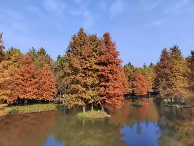 秋风拂过城郭南京便成了金陵