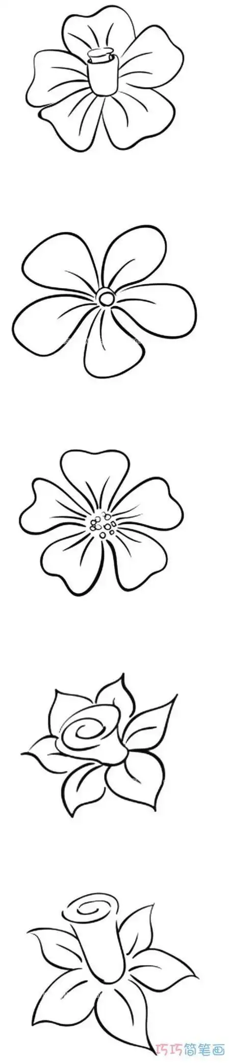 也可以画的简笔画教你用1支笔画一簇花南铃花简笔画花朵简笔画大全集