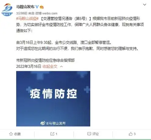 马鞍山:全市公交线路,渡口全部暂停营运|新冠肺炎_新浪新闻