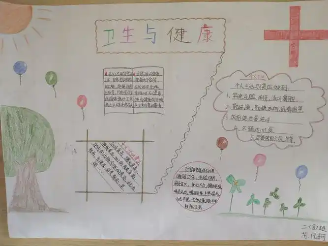 "卫生与健康"手抄报展示