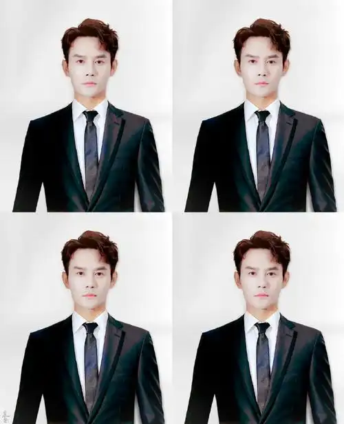 王凯宋运辉##内娱男明星的证件照