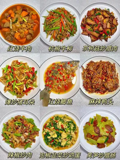 我的家常菜合集166666附教程