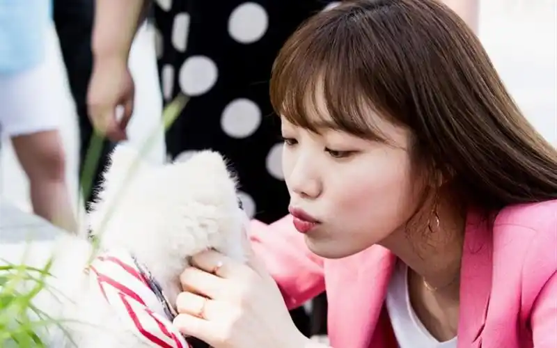 韩剧doctors海报图片桌面壁纸