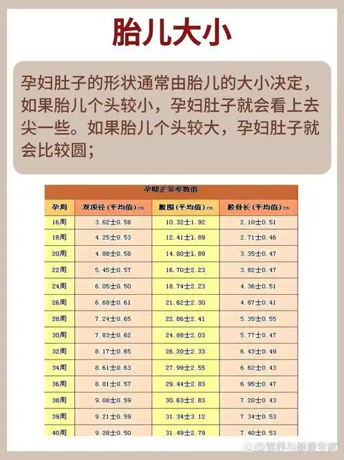 04 有没有想过,肚圆和肚尖的形状竟然能揭示宝宝的性别?