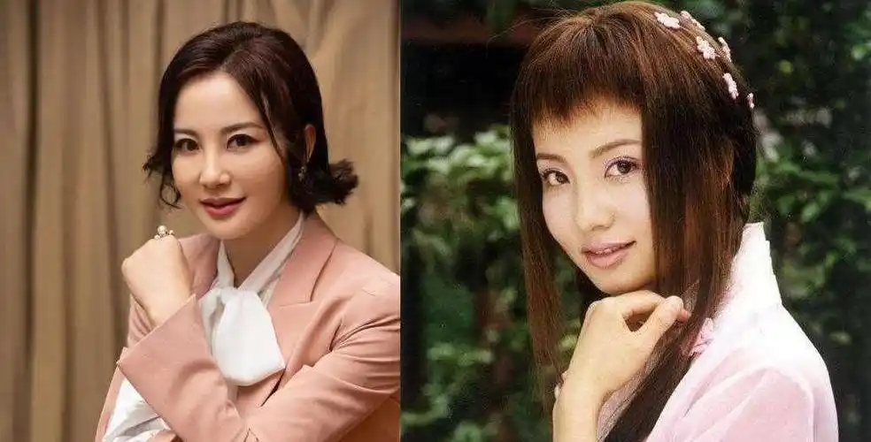 大陶红和小陶虹,名字相似,而境遇差了十万八千里