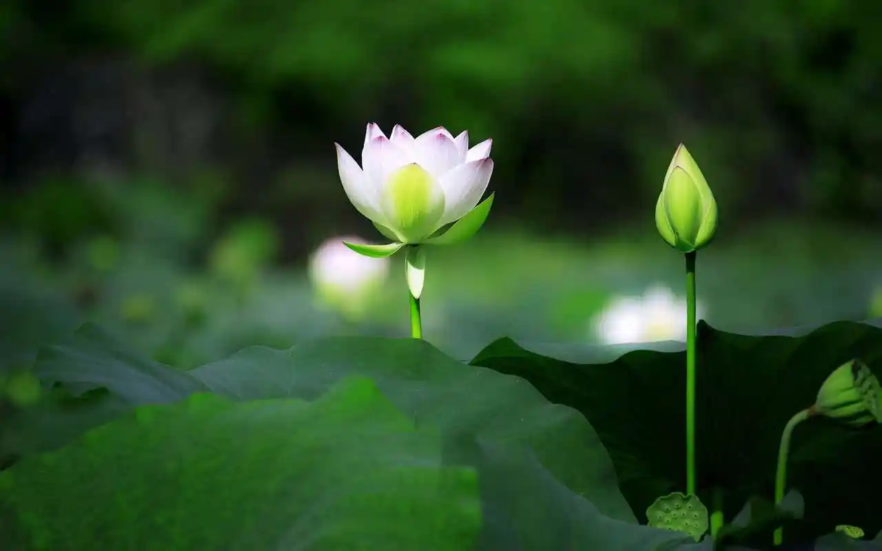 创业者,企业家每日修炼十句必读名言:   1,人的一切愤怒,本质上都是对