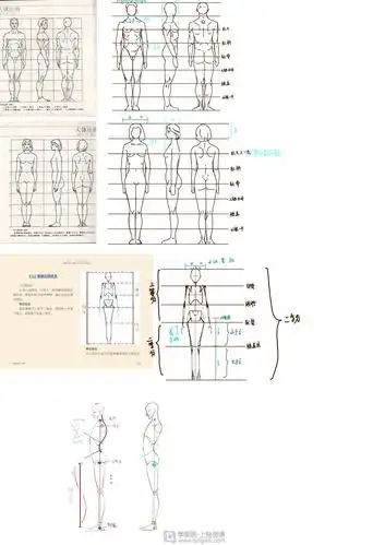 古风插画之人体比例