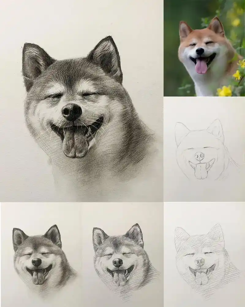 笑眯眼的修勾    素描狗狗步骤详解  ①先画一个圆,定出中 - 抖音