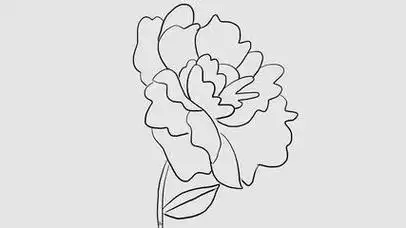 牡丹花简笔画 - 简单简笔画