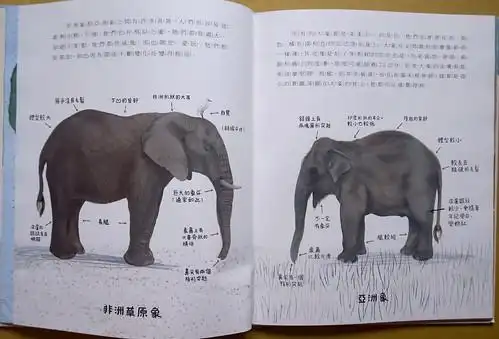 介绍高智商大象的科普书