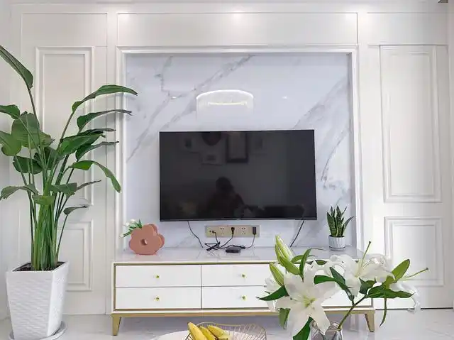 第六款:隐形门电视背景墙