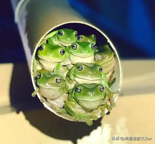 多种史前生物尸体现身北极