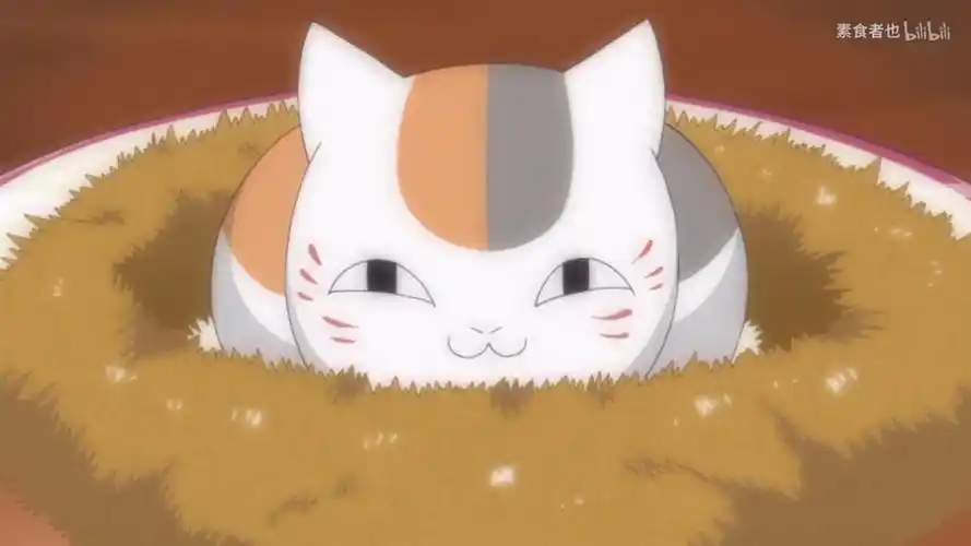 《夏目友人帐》猫咪老师爆可爱的时刻!