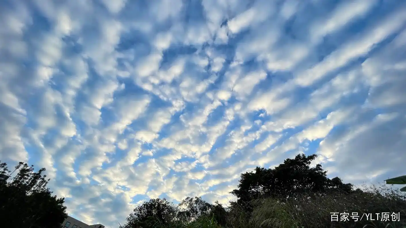 罕见的"波浪云"