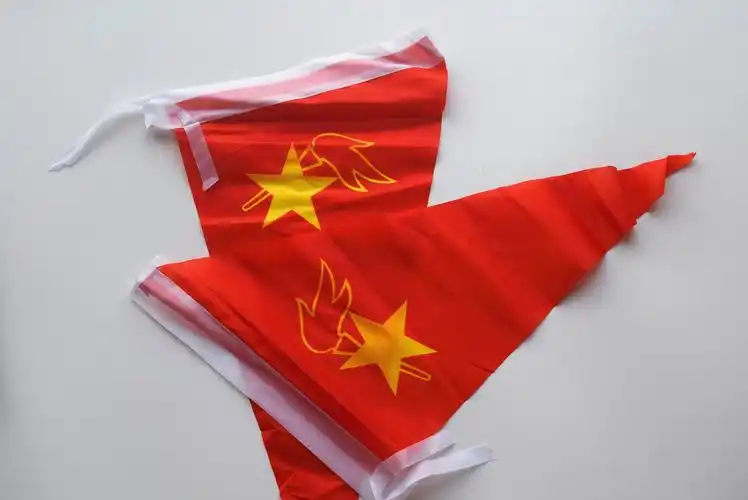 低价批发小队旗少先队队旗中国少年先锋队旗60*30cm春亚纺布料
