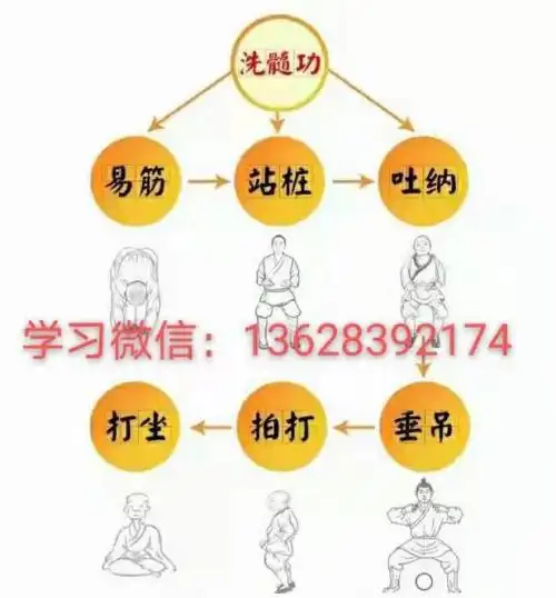 易筋洗髓功全套功法教程洗髓功无遮挡教学视频