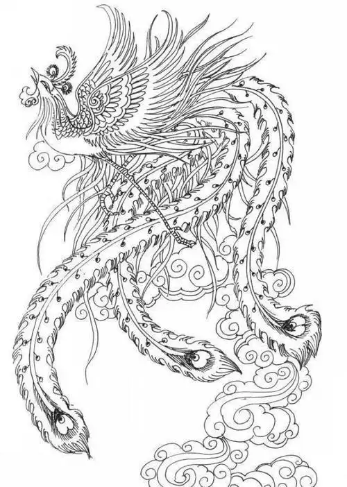 凤凰简笔画素描画