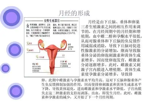 中西医治疗月经不调ppt