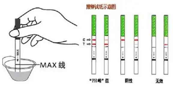 月经推迟可以用试纸验孕吗第几天准确率最高