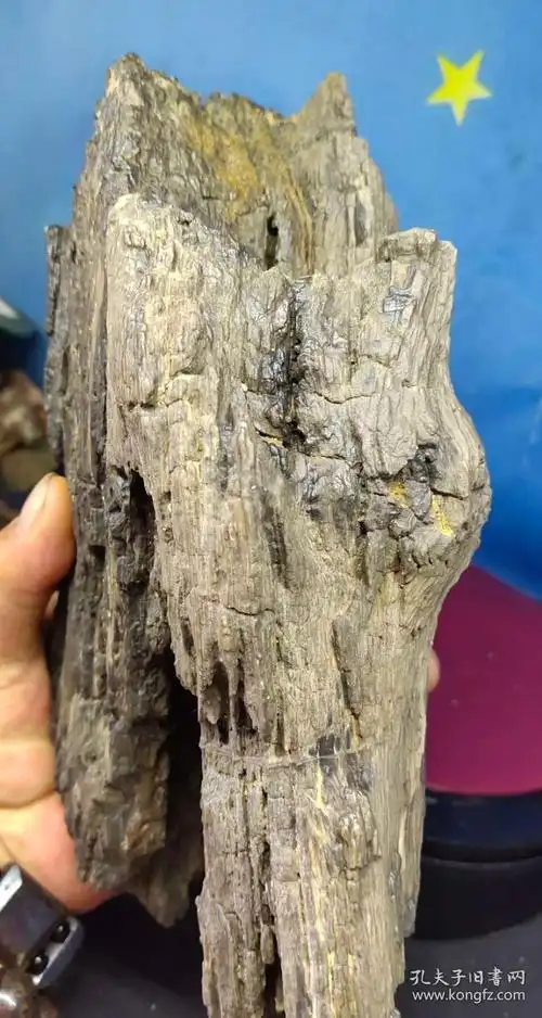 "沉香木化石"千年难得一遇,可遇不可求,绝世珍宝,形状好看,珍贵,稀有