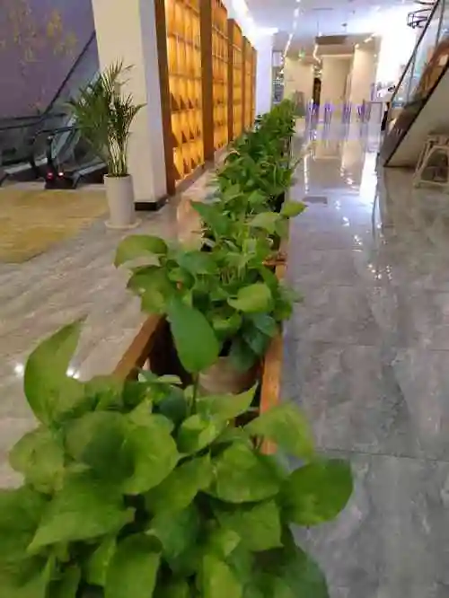 尚公馆·水韵-"喜欢桑拿的我.打卡了很多家.这家自助餐还.