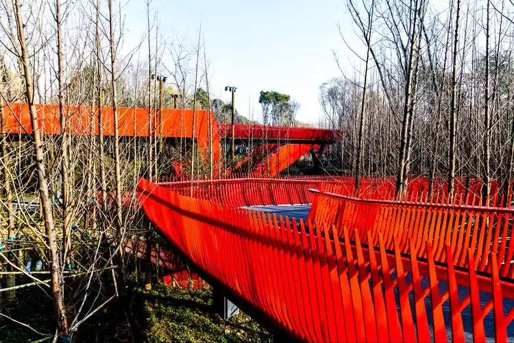 嘉兴西南湖空中廊桥(生态旅游公园)