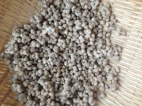 家庭自酿大酱的做法【图解】,如何做家庭自酿大酱,怎样做家庭自酿大酱