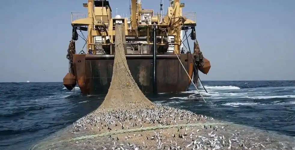 的危机,世界自然保护联盟曾一再强调,如果不遏制这些过度捕捞的渔船