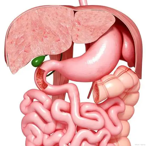 「医考」考点:脏腑学说——脾脏常考点