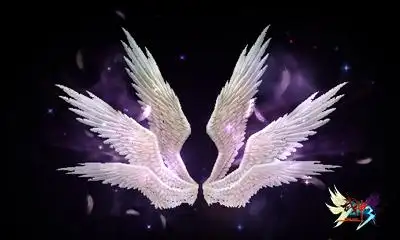 全新六翼天使羽翼上线