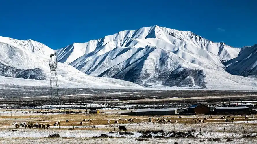 甘肃祁连雪山今日立冬防疫遥遥无期还飞雪初晴立冬寒居家不知公休日错