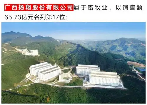 点赞扬翔入选2019广西民营企业100强第17名