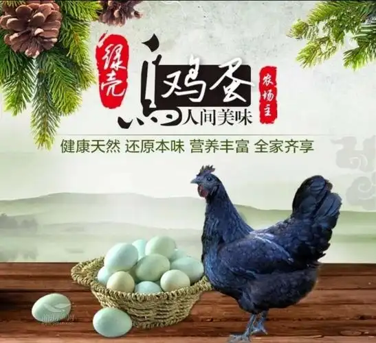 联系地址:西天尾镇后埔村进来