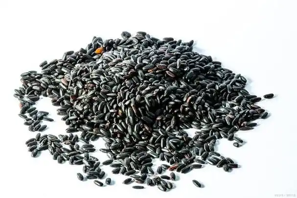 黑米和紫米有什么区别?