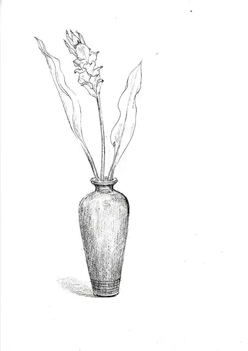 钢笔速写花瓶