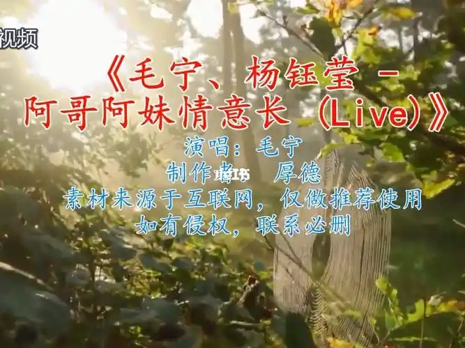 阿哥阿妹情意长毛宁杨钰莹