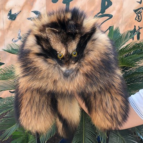 狐狸毛帽子男皮草护耳冬季加厚保暖东北雷锋帽貉子全毛霸王帽男潮