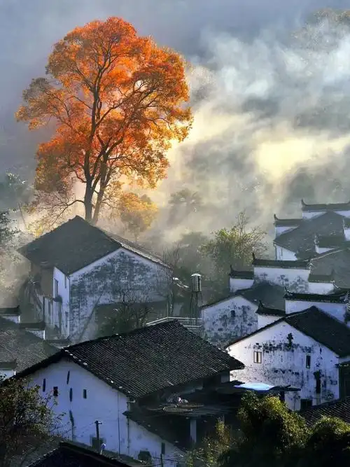 江西婺源旅游(江西婺源旅游攻略 景点图片)-起名网