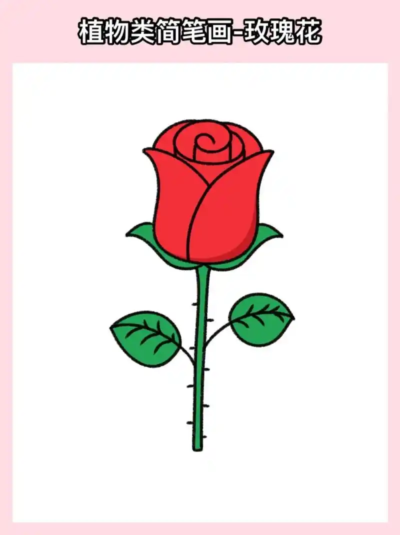 95玫瑰花简笔画(附教程)快
