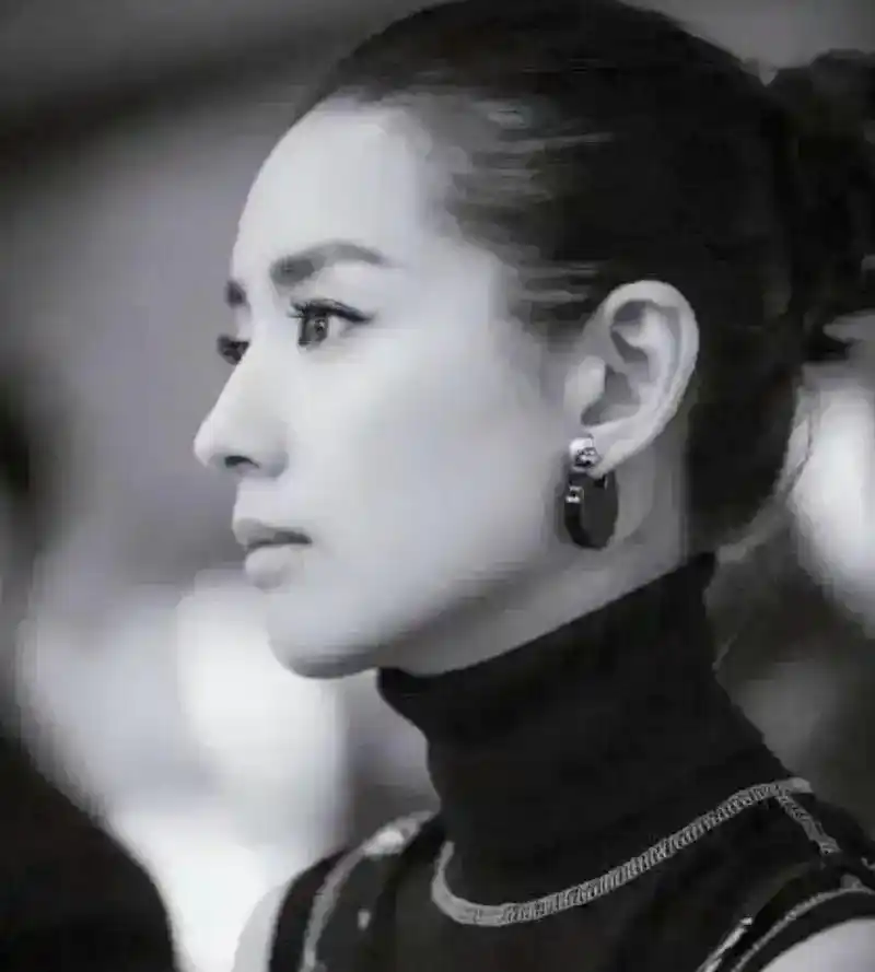 董洁的侧颜真的是无敌完美,也是圈内最美的人之一