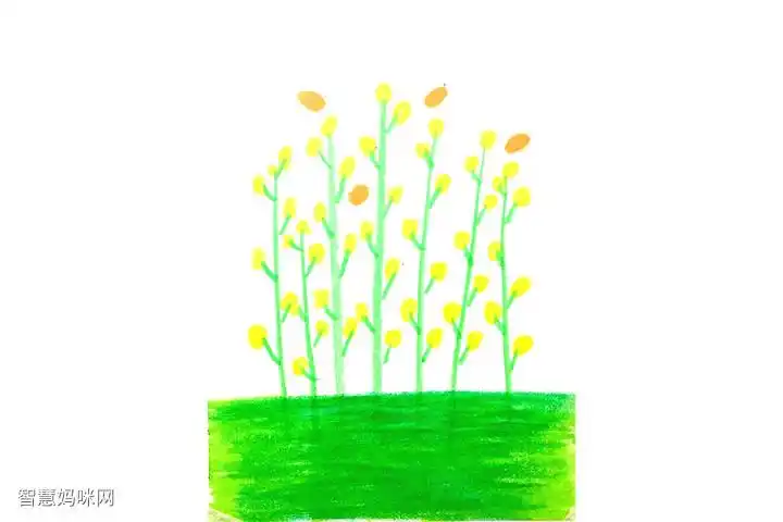 春天里一片油菜花怎么画-图5