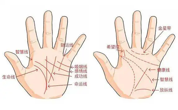 掌纹婚姻线有两条必定二婚吗,二婚的掌纹标志,手掌上的婚姻线有二条纹