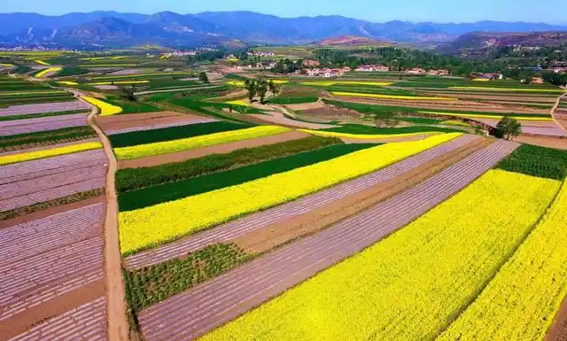 宁夏泾源县全域旅游示范区创建创新亮点频出