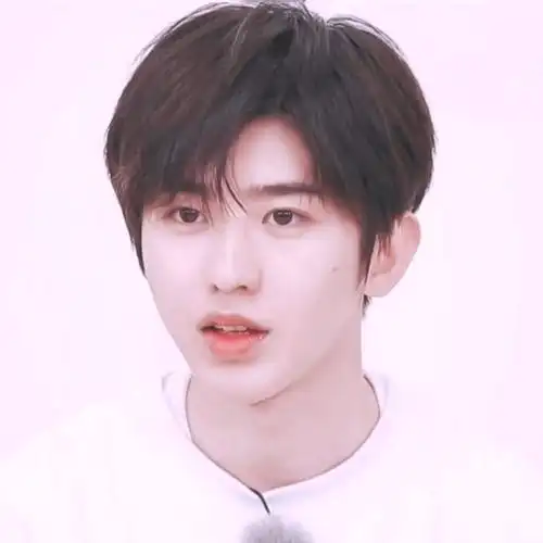 蔡徐坤头像 顺毛小坤/徐之