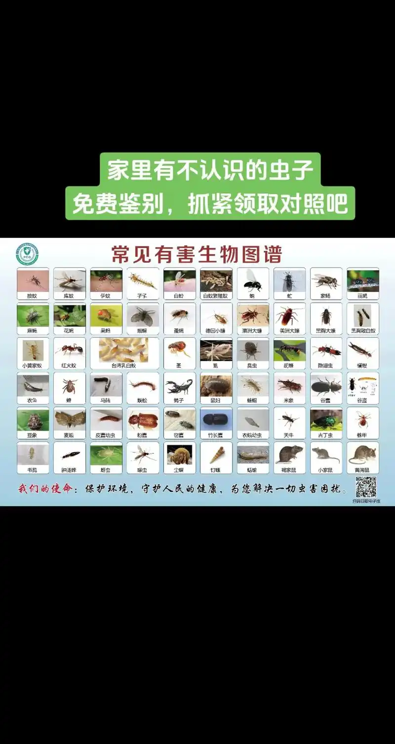 家里常见的虫害图谱.家里有不认识的虫子,抓紧对照起来吧#科普 - 抖音