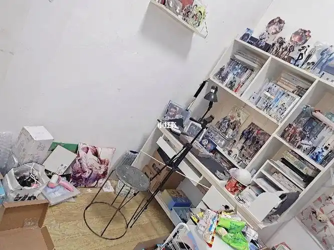 定个书柜单独放书   #原耽女孩鸭  #我的房间  #原耽实体书  #原耽