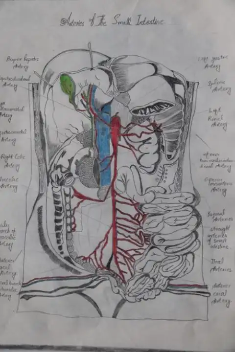 医学与生命科学学院-第三届"人体解剖素描作品比赛"又开始了!