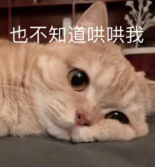 最新表情包图片:我累了,你也不知道哄哄我