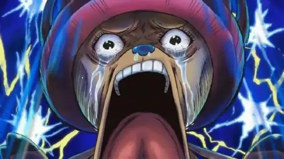 下次请让我独立完成这个项目!